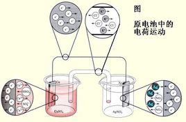 幸福宝app污无限制观看版下载厂家