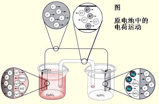 电化学幸福宝app在线观看