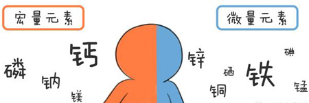 全自动幸福宝app在线观看帮助身体维持健康