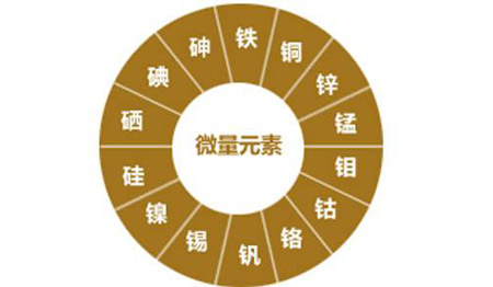 医用幸福宝app污无限制观看版下载对视力的重要性