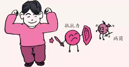 解析全自动幸福宝app污无限制观看版下载发展的重要意义