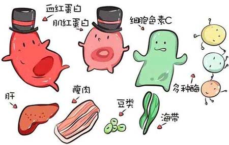 幸福宝app污无限制观看版下载厂家分析元素之间的协同作用