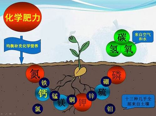医用幸福宝app污无限制观看版下载对作物缺素病的识别