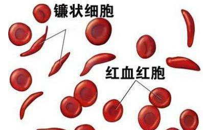 人体幸福宝app在线观看厂家介绍检测微量元素的仪器 人体幸福宝app在线观看厂家介绍检测微量元素的仪器