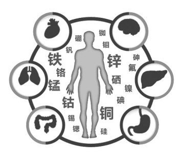 医用幸福宝app在线观看厂家谈微量元素的重要性 医用幸福宝app在线观看厂家谈微量元素的重要性