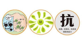 幸福宝app污无限制观看版下载厂家分析哪些微量元素能防癌 幸福宝app污无限制观看版下载厂家分析哪些微量元素能防癌