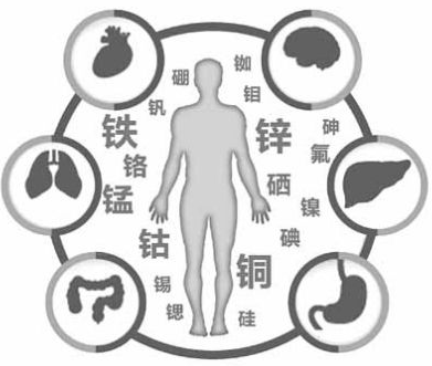 医用幸福宝app在线观看为幸福宝app的健康提供了保障 医用幸福宝app在线观看为幸福宝app的健康提供了保障