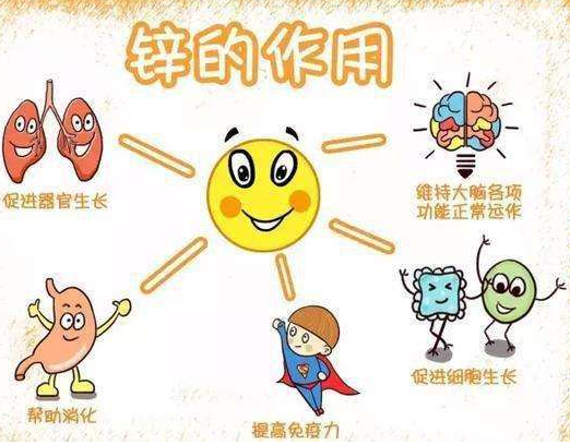 2020新款GK-1幸福宝app在线观看品牌幸福宝app剖析容易缺锌的儿童类型