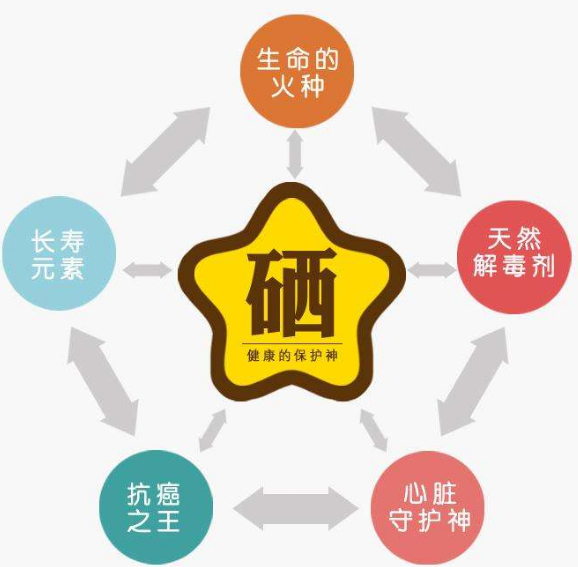 全自动幸福宝app在线观看厂家分析硒为何被称为生命的火种？