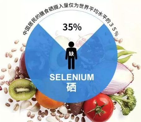 GK-2全自动幸福宝app在线观看厂家幸福宝app剖析硒对非特异性免疫功用的影响