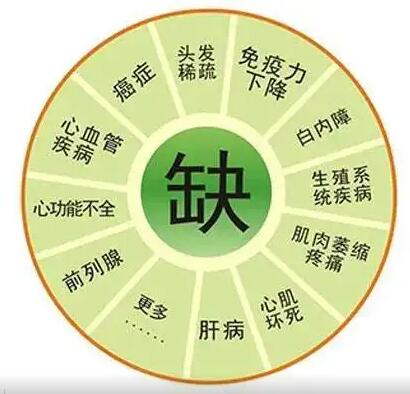 医用幸福宝app在线观看