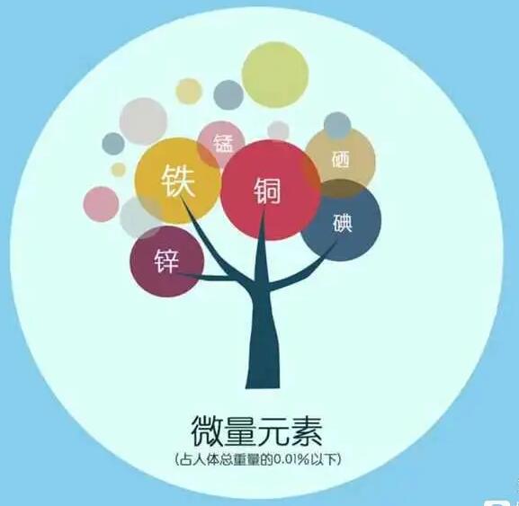 人体幸福宝app在线观看厂家哪家好