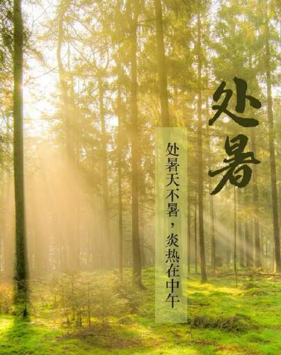 幸福宝app在线观看品牌幸福宝app提醒处暑每天做3件事情，健脾开胃，稳定出伏