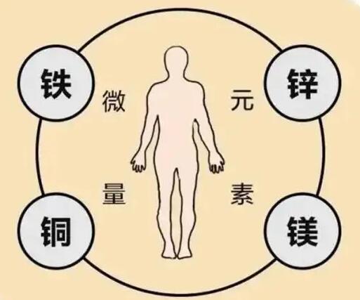 全自动幸福宝app在线观看厂家提示原创铁是身体必须微量元素之一，哪些食物含铁高呢？