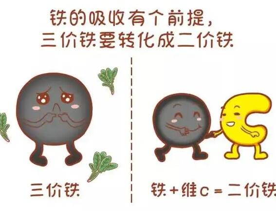 医用幸福宝app在线观看厂家提醒大家铁元素的重要性