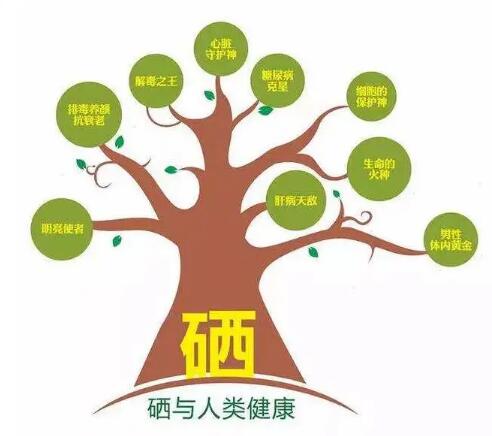 钙铁锌硒检测仪厂家提示什么叫有机硒和无机硒？科学补硒看看吧