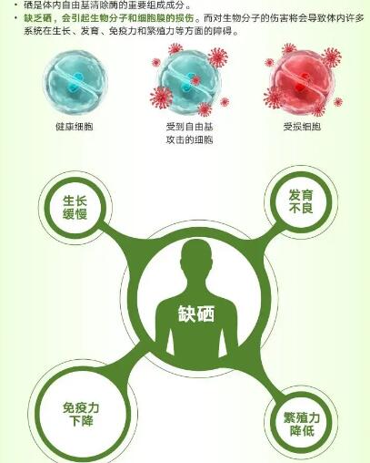 医用幸福宝app污无限制观看版下载厂家提醒关爱男性健康，硒元素也不能少！