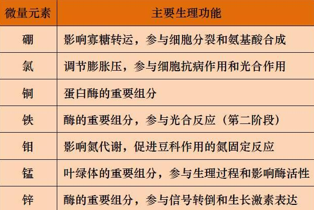 山东聊城全自动血铅检测仪一体机：微量元素的主要作用8.20